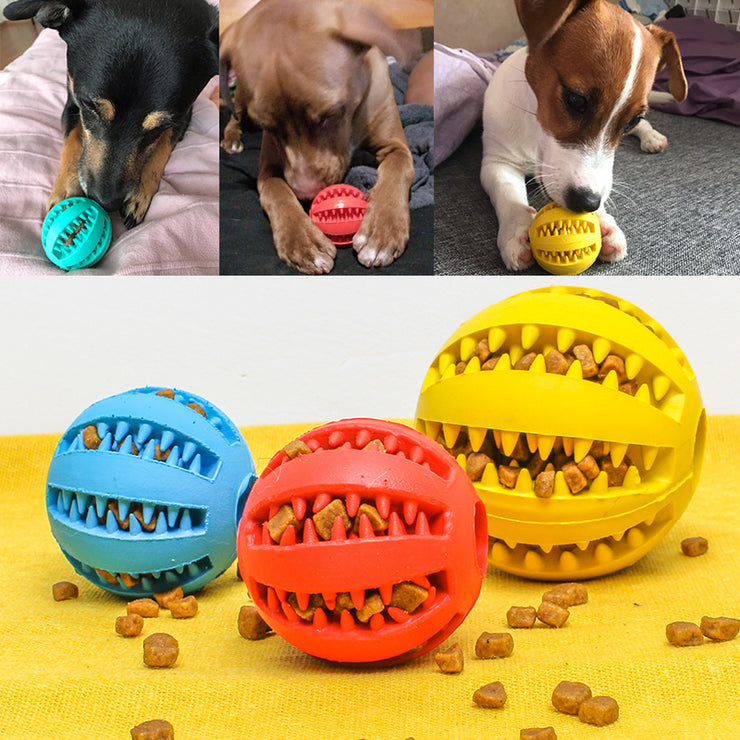 Pet Slow Feeder Dog Toy - Cute Rubber Ball for Interactive Play