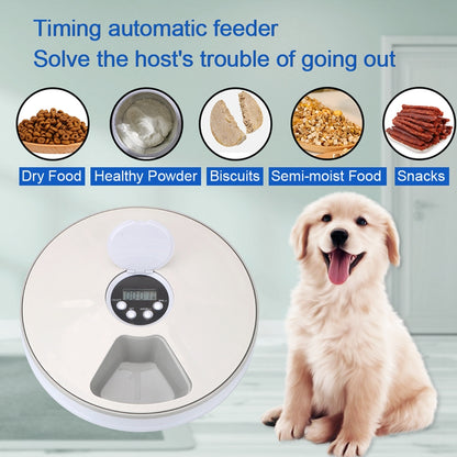 Pet Automatic round Timing Feeder with 6 Grids Voice Recorder