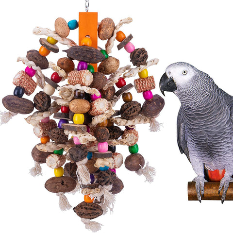 Premium Fruit Skewers for Large Parrots to Enjoy and Nibble