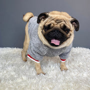 Cozy Cotton Pet Sweater for Dogs – Casual Style, Available in Multiple Sizes