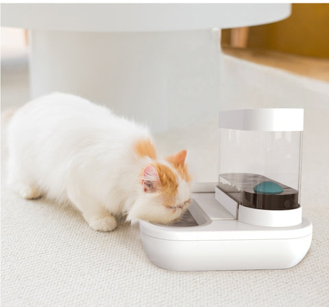 4-Style Pet Cat Bowl & Dog Feeder with Automatic Drinking Fountain