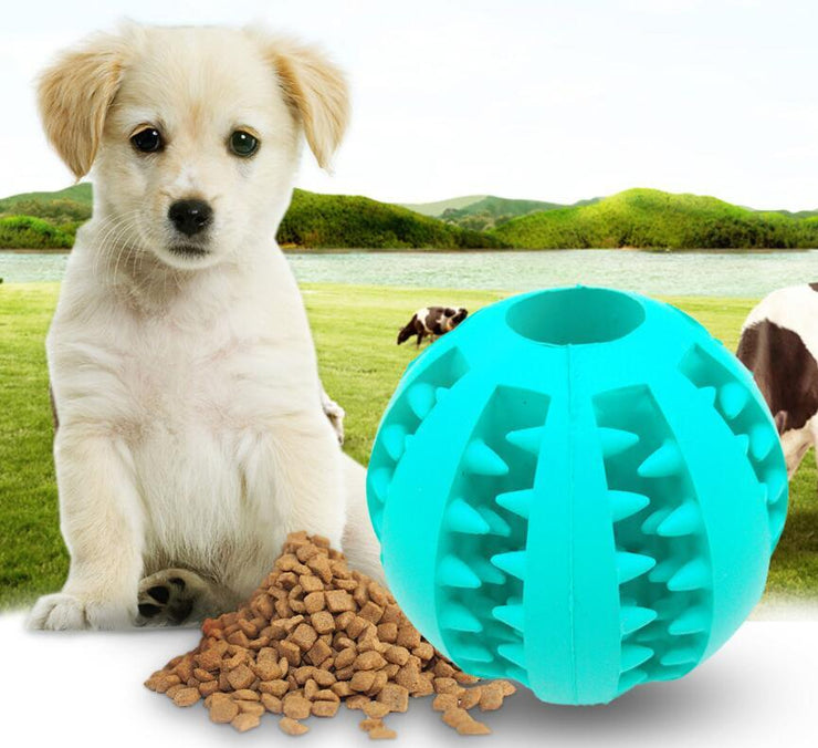 Pet Slow Feeder Dog Toy - Cute Rubber Ball for Interactive Play