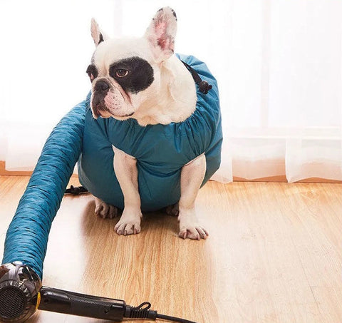 Automatic Drying Bag with Quick Drying Hair Dryer for Dogs