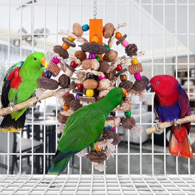 Premium Fruit Skewers for Large Parrots to Enjoy and Nibble