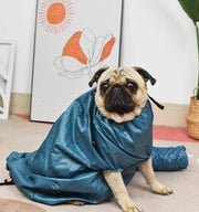 Automatic Drying Bag with Quick Drying Hair Dryer for Dogs