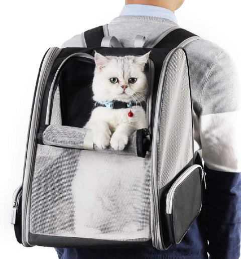 Innovative Bubble Backpack Pet Carrier for Cats and Dogs - Black