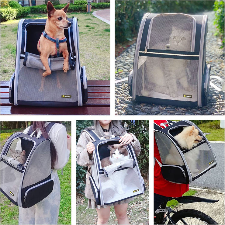 Innovative Bubble Backpack Pet Carrier for Cats and Dogs - Black