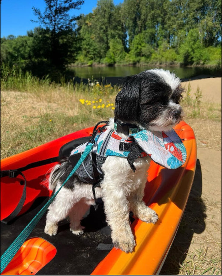 Professional Dog Life Vest for Swimming - Buoyant Outdoor Swimwear for Large Dogs