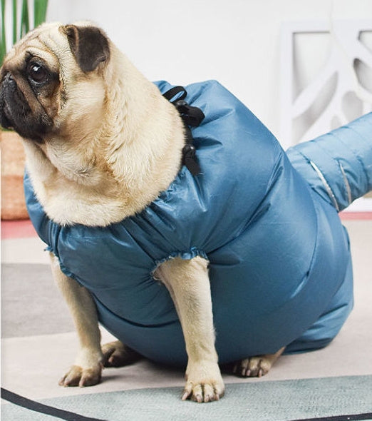 Automatic Drying Bag with Quick Drying Hair Dryer for Dogs