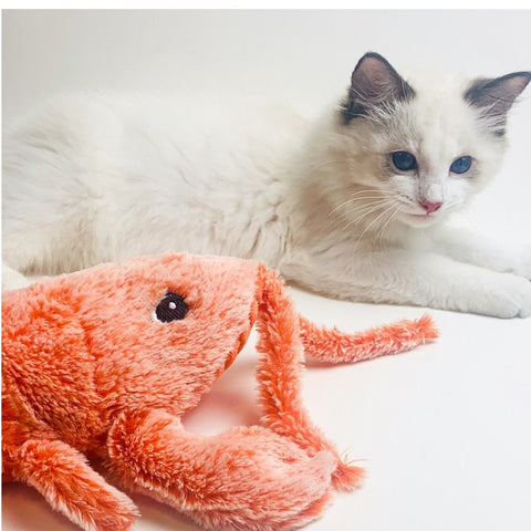 Electric Jumping Shrimp Cat Toy – Simulation Lobster Plush for Cats