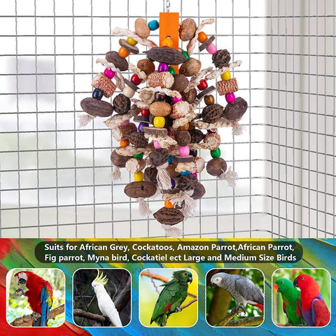 Premium Fruit Skewers for Large Parrots to Enjoy and Nibble