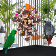 Premium Fruit Skewers for Large Parrots to Enjoy and Nibble