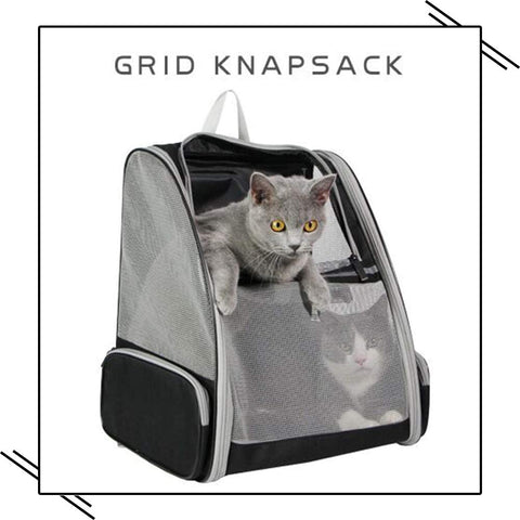 Innovative Bubble Backpack Pet Carrier for Cats and Dogs - Black